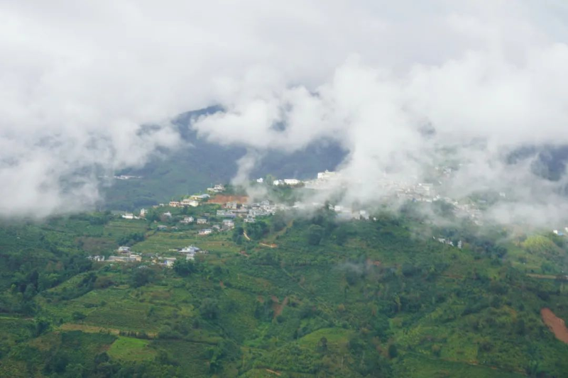 勐库东半山
