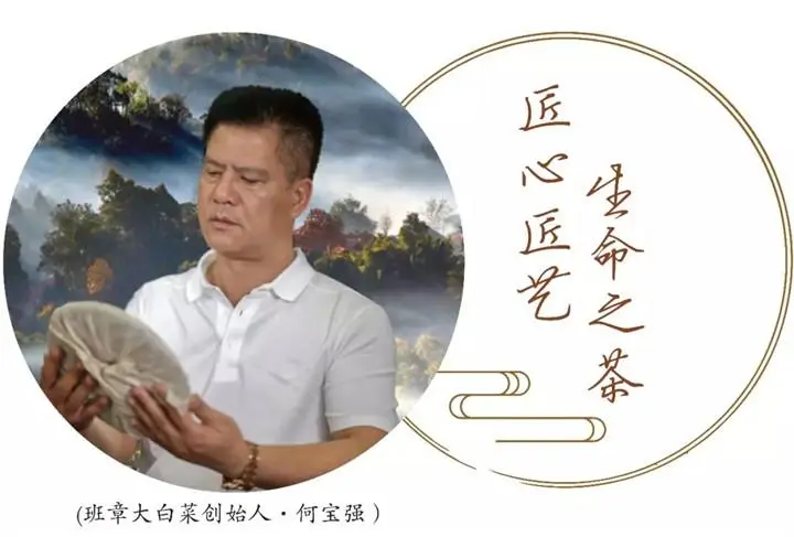 班章大白菜创始人何宝强