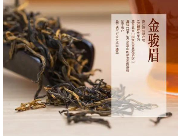 金骏眉红茶