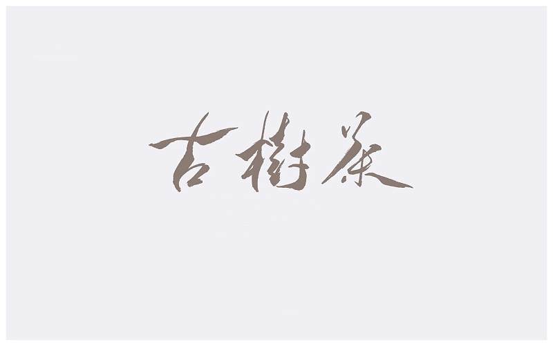 古树茶