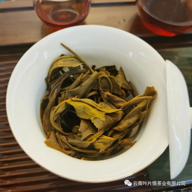 普洱茶茶底