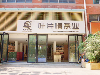 叶片情-线下门店