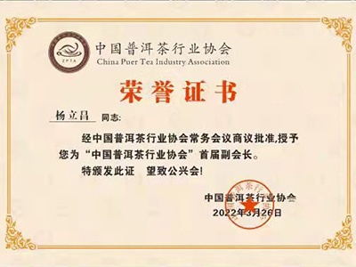 叶片情-荣誉证书