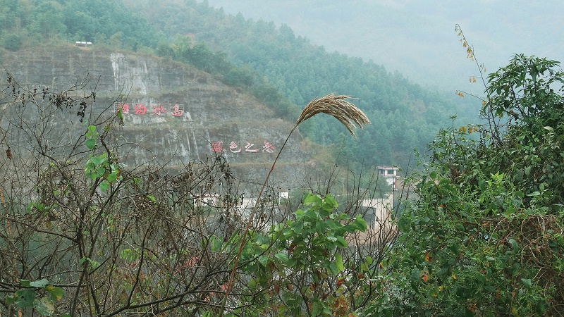 冰岛茶山