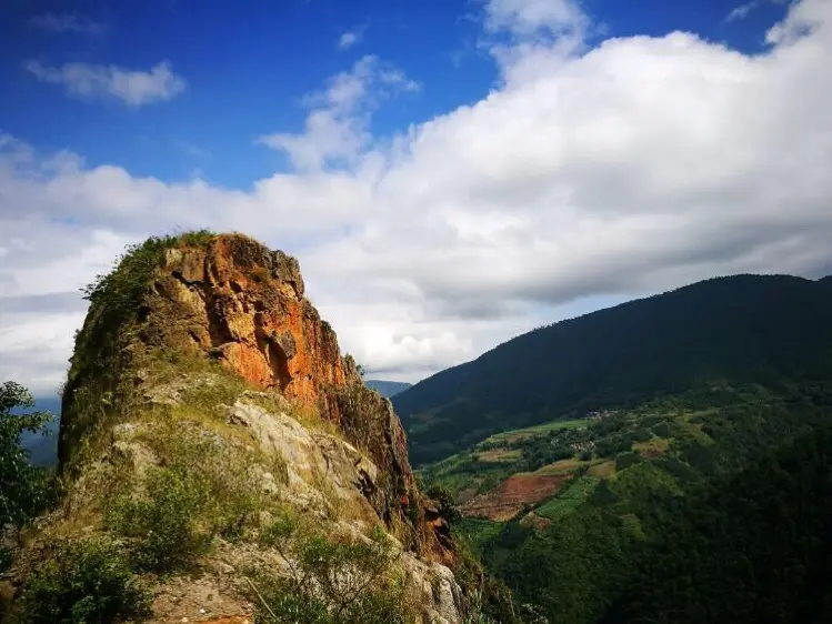 邦东山林